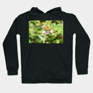 Bee And Moth On Water Hemp Flower Hoodie